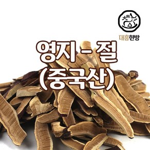 대흥한방 영지버섯(절) 중국산 250g, 1개