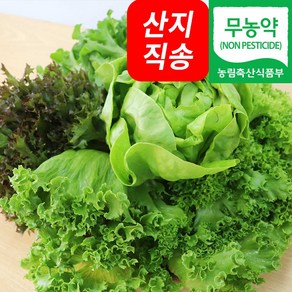 (자연마을) 친환경 무농약 유럽종 쌈채소 샐러드 채소 모듬쌈, 1개, 500g (3~4종류)