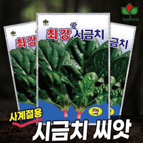 씨드코리아 시금치 씨앗 최강애 시금치 종자 2025, 3개