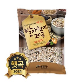 현대농산 국산 발아현미 20곡 2kg, 1개