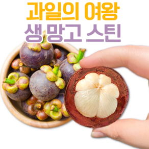 제철달력 망고스틴 태국 항공직송 열대과일, 1세트, 1망 (500g)