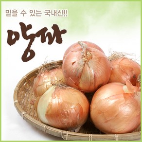 아빠의 마음 국내산 양파 3kg 5kg 10kg