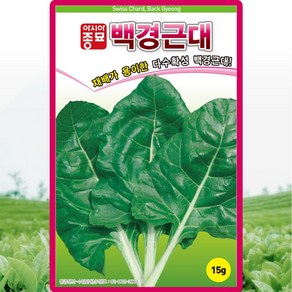 아시아종묘 백경근대 씨앗 15g, 1개