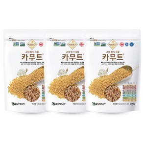 카무트 고대곡물 이집트 호라산밀 500g, 3개