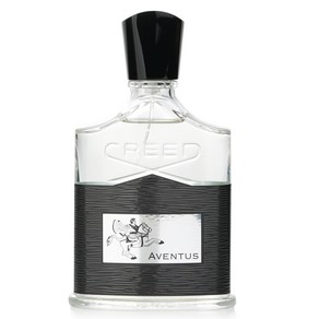 Ceed Aventus EDP Spay 100ml Women, 1개