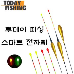 [투데이피싱] 스마트 전자찌 모음 (찌톱1+1)