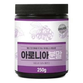 더참된 동결건조 아로니아분말, 1개, 250g