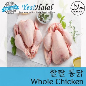 Yes!Global Halal Whole Chicken 할랄 닭고기 통닭