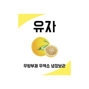 담은 투명유자 스티커 50장