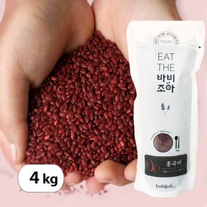 HACCP 발효 홍국쌀 홍국미 국산 효능 흥국쌀, 4개, 1kg