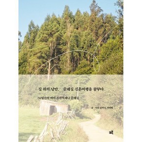 길 위의 낭만 순례길 신혼여행을 꿈꾸다 : 56일간의 비아 프란치제나 순례길, 김리나 저/김리나,권영범 사진, 크루