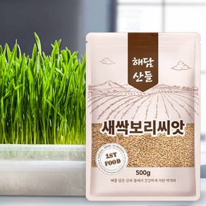 국산 새싹보리씨앗 1kg (500g x 2봉) 지퍼백 소포장 l 겉보리 보리새싹 키우기