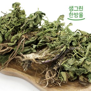 곰보배추 설견초 배암차즈기 국내산 300g, 1개