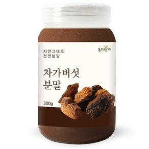 동의한재 프리미엄 러시아 차가버섯 분말 가루, 300g, 1개