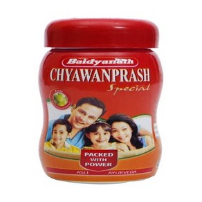 Baidyanath (Jhansi) Chyawanpash Special 500 gm Paste, 500g, 1개