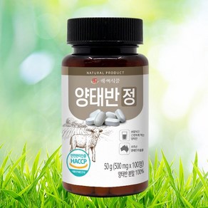 양태반정 호주산 500mg x 100정 HACCP 인증제품, 4개, 50g