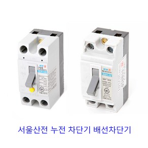 서울산전 누전차단기 배선차단기 2P 15A 20A 30A