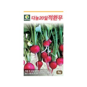 (DN) 20일적환무 씨앗(5g), 1개