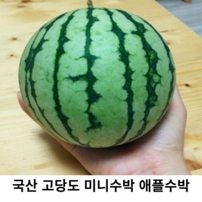 국내산 신선한 고당도 미니수박 1kg 국산 애플수박 꿀애플수박 설탕애플수박 1인가구, 2개