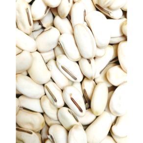 국산 프리미엄 작두콩 잠두콩 비염 기관지 이뇨작용 향상, 1개, 500g
