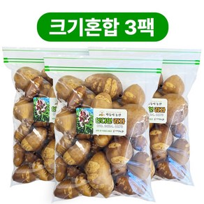 막둥이농산 해남 세척 인디언감자 아피오스, 1kg, 3개