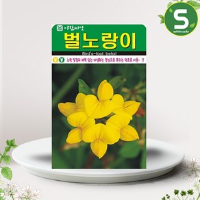 솔림텃밭몰 벌노랑이씨앗 1000립 벌노랑이 꽃씨앗 꽃씨 야생화