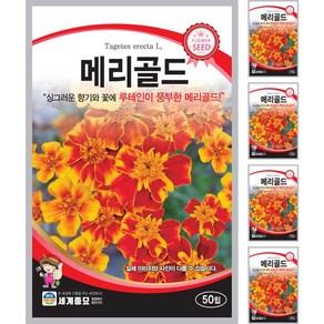 메리골드 씨앗 50립 일년생 일반종 종자 꽃씨앗, 5개