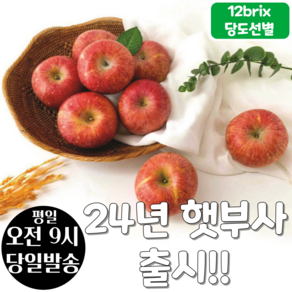 [12브릭스 당도선별] 맛난일상 고당도 사과