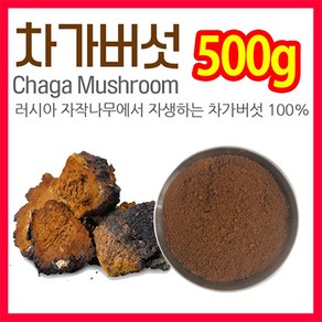 The큰나무 시베리안 차가버섯 분말 가루 차 500g~, 1개, 500g