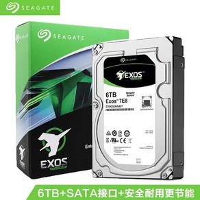 씨게이트 16TB Seagate 하드 ST16000NM000J 16T하드 테라 드라이브 내장, GeenSeagate 6TB