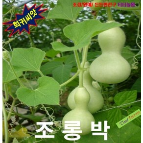 표주박을 만들려면 조롱박 5립정품, 1개