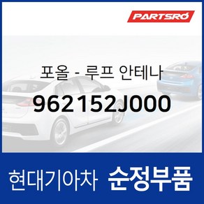 포올-루프 안테나 (962152J000)- 엑센트 I30/I30CW, 1개