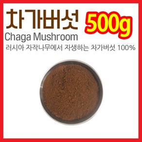 The큰나무 시베리안 차가버섯 분말 500g(러시아) 차가버섯가루 차, 1개, 500g