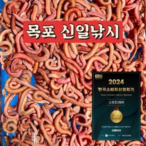 목포 신일낚시/국산 참갯지렁이/홍거시/혼무시/집거시/청거시