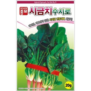 아시아종묘/시금치종자씨앗 수시로시금치(400g), 1개