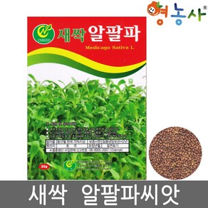 새싹 알팔파 씨앗 30g 토경 수경재배 겸용 알팔파씨 종자, 1개