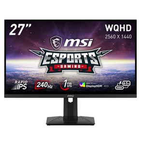 MSI G274QPX IPS CompatibleDisplayHDR 400HDMIDPUSB 3 게이밍 모니터 27인치WQHDRAPID