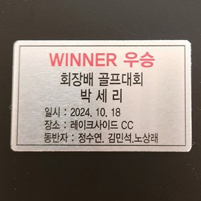 골프장식품 골프장식모형 골프모형 조형물 골프선수조각상 골프트로피 골드색 크기25cm, 명판