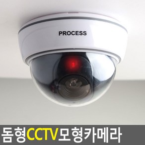 진짜보다 진짜같은 모형 CCTV 방범 CCTV 돔형 모형카메라