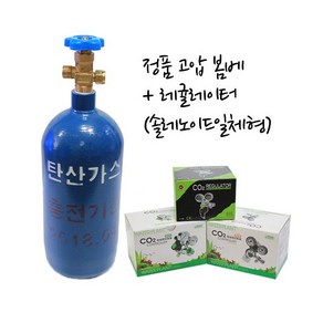 정품 Co2 고압봄베 [2kg3.4L] + 레귤레이터 [옵션선택], 1세트