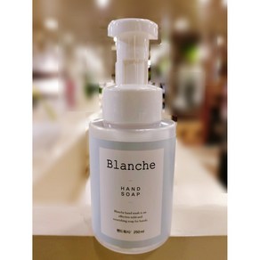 모던하우스 Blanche 핸드워시 250ML CL1423012, 사진참조, 1개