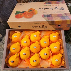 따봉프레시 3차선별 새콤달콤 제주 한라봉 가정용 선물용, 1박스, 3kg(가정)