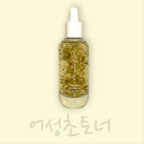 [이엔] 블랑두부 누본셀 어성초 그린에너지 에센스 토너, 50g, 1개