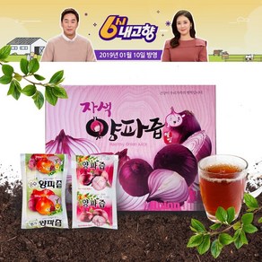 국내산 지리산양파즙 자색양파즙 택1 120ml, 100개, 100%양파즙 120ml 100포