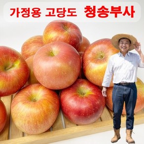 [농장직송]경북 꿀통 부사사과 가정용 고당도 햇사과