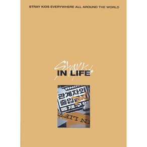 스트레이키즈 STRAY KIDS 앨범 인생 IN LIFE 일반반 STANDARD VERSION 정규1집 음반 리패키지 미개봉