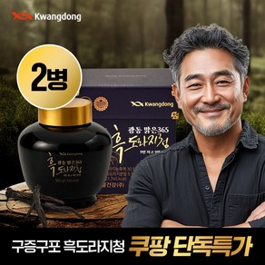 광동맑은365 국내산 흑도라지청 구증구포 도라지진액, 2박스, 500g