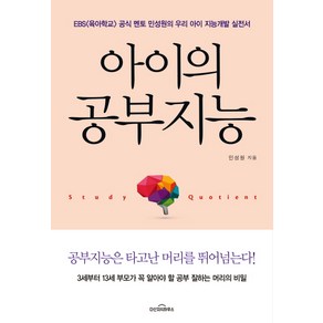 아이의 공부지능:EBS 공식 멘토 민성원의 우리 아이 지능 개발 실전서, 다산지식하우스