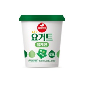 서울우유 요거트 요하임 플레인380g 2개, 380g