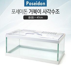 Poseidon(포세이돈) 거북이 사각수조(중) [화이트] 47cm, 1개